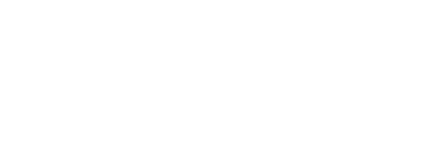 Healthcare Consultant